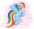 Dashie