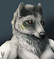 Grrs head shot by grrwolfen