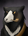 Sunless Sea Captains, Sloth Bear