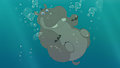 Big fat hippo