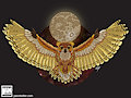 Night Owl