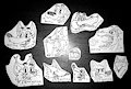03-12-2016 Stickers Tradi