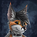 Fox redux by smoothie