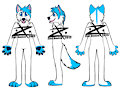 Max the Dog Fullsuit Concept