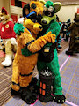 Boombox Raccoons by Stripes