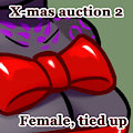 second x-mas auction winner~
