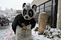 My first snowfall ever by pandapaco