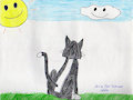 Cat in a Field