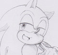 SONIC by RojinRojin