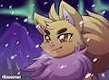 wocky day entry