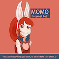 MOMO Internet Pet
