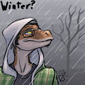 Winter wonder land.