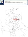 Starco Kiss