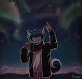 Starlit Skies