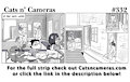 Cats n Cameras Strip #332 - Back comes a Bunny!