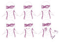 Donnie Expression Study