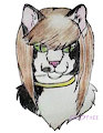 Cotton - the maternal feline