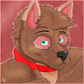 Shadowstlkr head shot