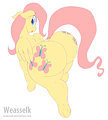 Fluttershy X Dragon 1 [COM] by Weasselk