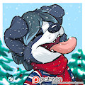 Pawpy in the winter