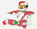 A Christmas Fox