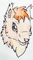 Rayne - The Sarcastic Squirrel