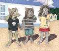 Ages Three, Five, and Seven