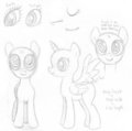 Pony Practice