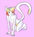 Gift sub by Twenty