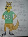 Who Are These Guys? - Wesley Kangaroo