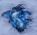 Zhag loves snow by hiveworm