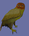 [untitled bird]