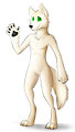 Skywolf Com