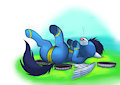 Pride of the Wonderbolts