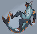 C: New Waters