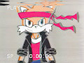 Ninja Fox