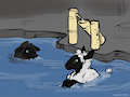 Sheep - Bath time