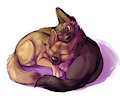 Shadow and Stomak