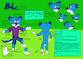 Bluefox Reference Sheet