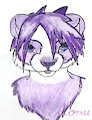 Skylar - the logical Panda