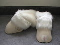 Provalone Hooves by Husky657