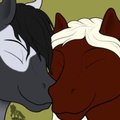 Pony Nuzzles by Husky657