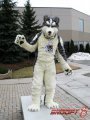 @ Furnal Equinox 2011 [3]  by snoopy