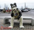 @ Furnal Equinox 2011 [4]  by snoopy