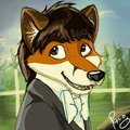 tofu fox
