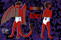 Rhey's ref sheet by Kitsuneskyy