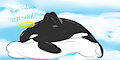 RIP Tilikum