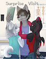 Surprise Visit Cover