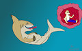 In a Shark Belly