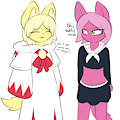 Kitten Clothes